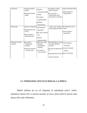 Piometrul - Diploma.ro