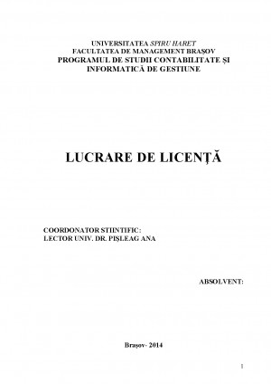 Analiza Financiar Contabila Privind Pozitia Financiara A Entitatii